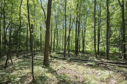 Lot D Beechwood, Mears, MI 49436 photo 21