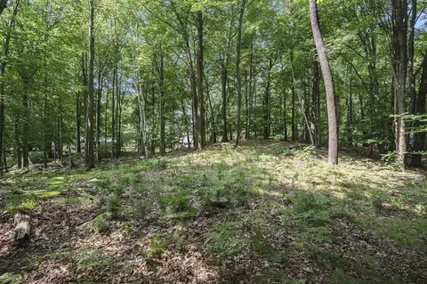 Lot D Beechwood, Mears, MI 49436 photo 14