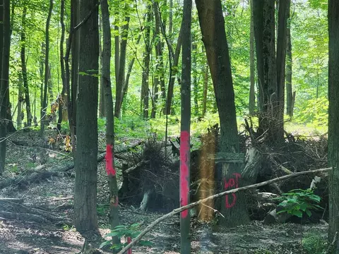 Lot D Beechwood, Mears, MI 49436 photo 26