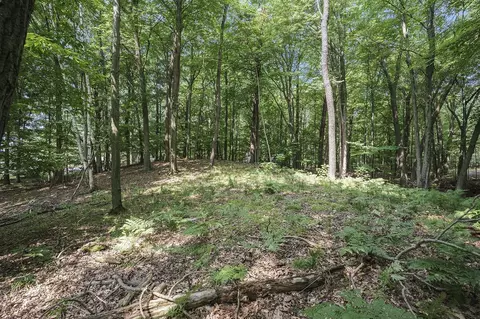 Lot D Beechwood, Mears, MI 49436 photo 13