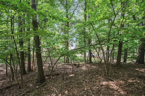 Lot D Beechwood, Mears, MI 49436 photo 12