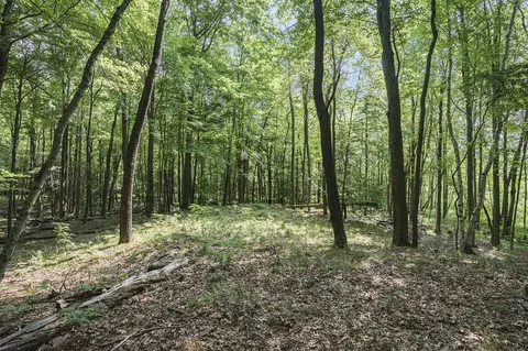 Lot D Beechwood, Mears, MI 49436 photo 17