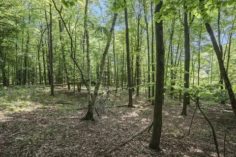 Lot D Beechwood, Mears, MI 49436 photo 15