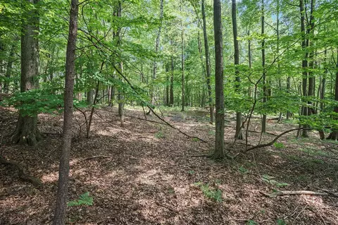 Lot D Beechwood, Mears, MI 49436 photo 18
