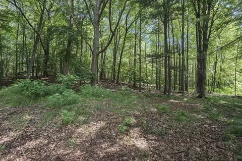 Lot D Beechwood, Mears, MI 49436 photo 20