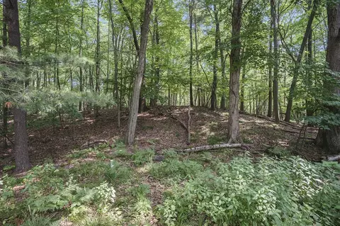 Lot D Beechwood, Mears, MI 49436 photo 9
