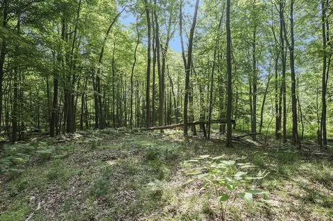 Lot D Beechwood, Mears, MI 49436 photo 22