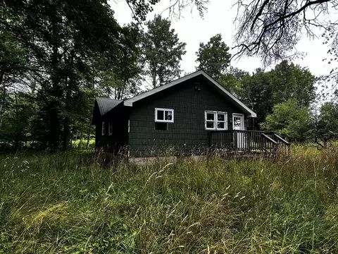 10442 W 34, Harrietta, MI 49638