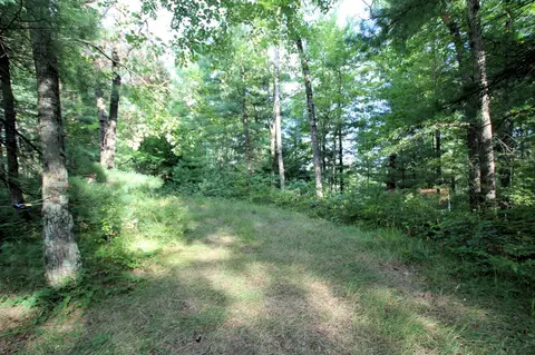 Baseline, White Cloud, MI 49349 photo 10