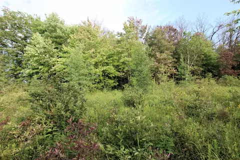 Baseline, White Cloud, MI 49349 photo 26