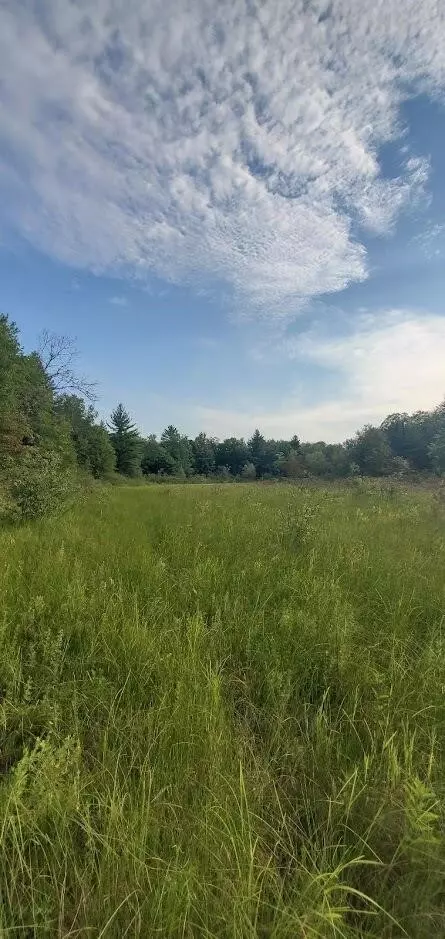 Baseline, White Cloud, MI 49349 photo 37