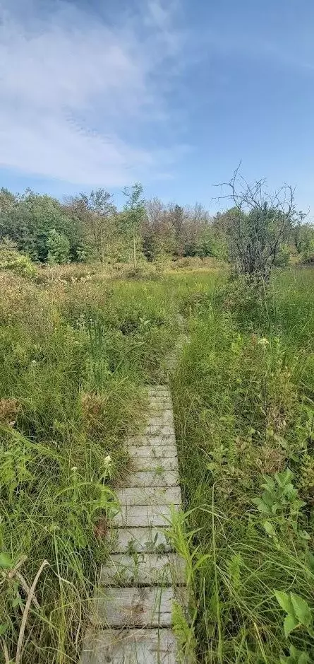 Baseline, White Cloud, MI 49349 photo 34