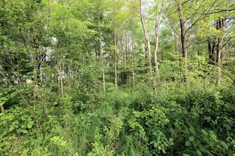 Baseline, White Cloud, MI 49349 photo 28