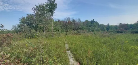 Baseline, White Cloud, MI 49349 photo 35