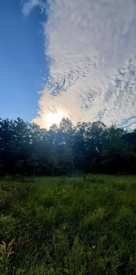 Baseline, White Cloud, MI 49349 photo 38