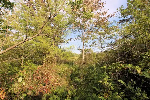Baseline, White Cloud, MI 49349 photo 18