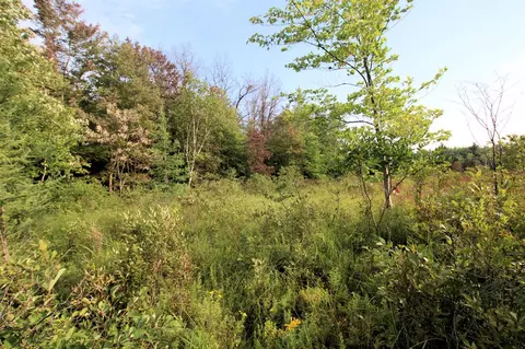 Baseline, White Cloud, MI 49349 photo 27