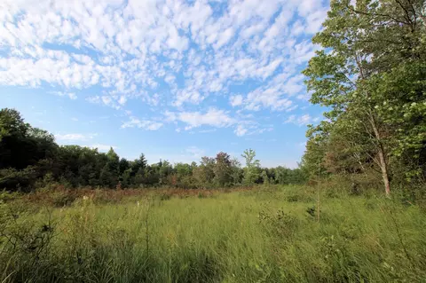 Baseline, White Cloud, MI 49349 photo 33