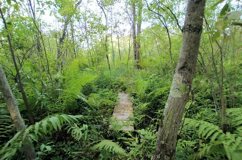 Baseline, White Cloud, MI 49349 photo 22