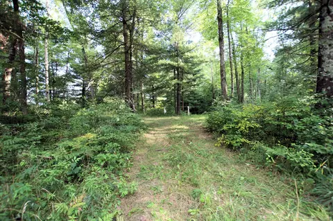Baseline, White Cloud, MI 49349 photo 9