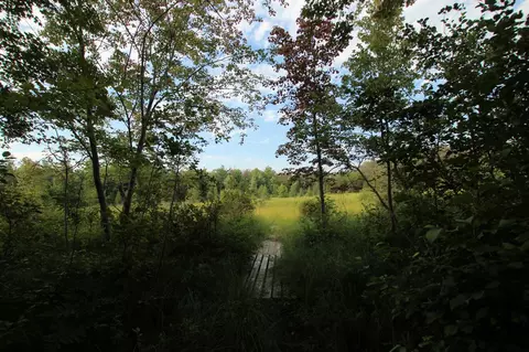Baseline, White Cloud, MI 49349 photo 31