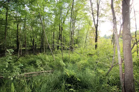 Baseline, White Cloud, MI 49349 photo 29