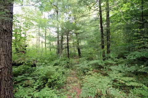 Baseline, White Cloud, MI 49349 photo 19