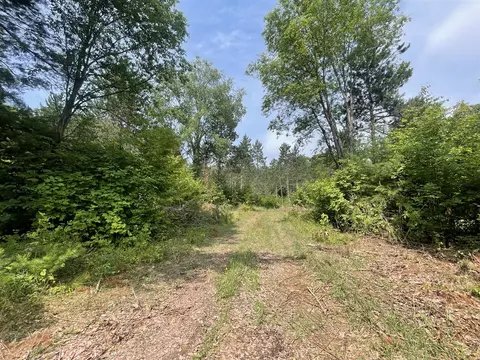 V/l 80a Mcpherson, Alden, MI 49612