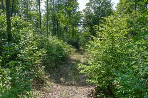 00 Z0 Indian Hl, Honor, MI 49640 photo 14