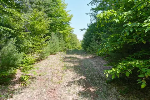 00 Z0 Indian Hl, Honor, MI 49640 photo 21