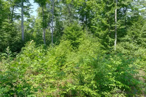 00 Z0 Indian Hl, Honor, MI 49640 photo 16
