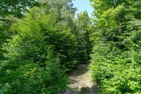 00 Z0 Indian Hl, Honor, MI 49640 photo 17