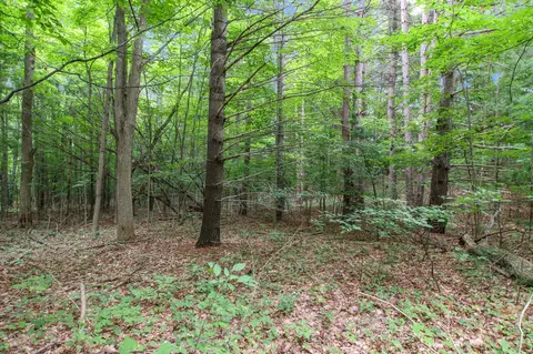 Parcel C Shorewood, Frankfort, MI 49635 photo 13