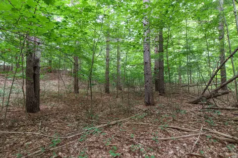 Parcel C Shorewood, Frankfort, MI 49635 photo 11