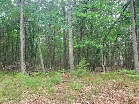 6860 S Lakeshore, Pentwater, MI 49449