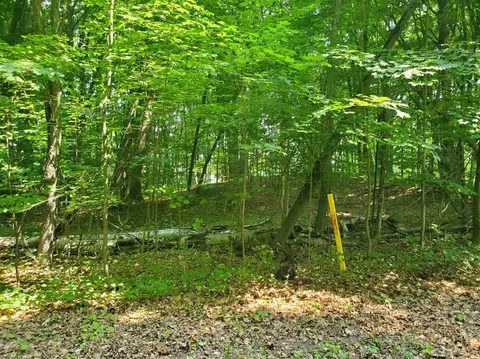 6950 Hermitage, Ludington, MI 49431