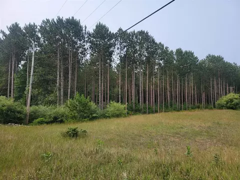 10 Acres Kott, Manistee, MI 49660 photo 4
