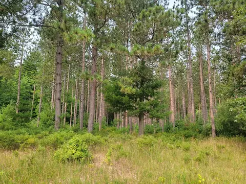 10 Acres Kott, Manistee, MI 49660 photo 7