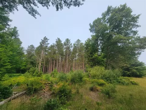 10 Acres Kott, Manistee, MI 49660 photo 11