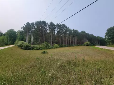 10 Acres Kott, Manistee, MI 49660 photo 5