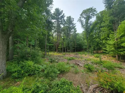 10 Acres Kott, Manistee, MI 49660 photo 12