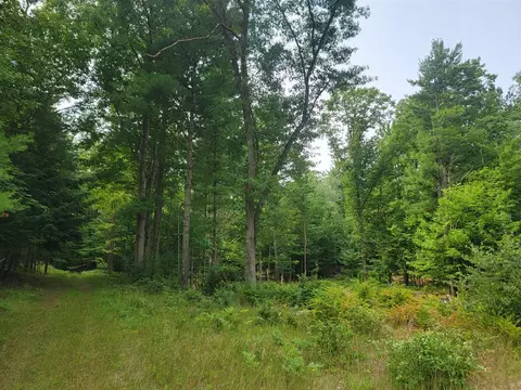 10 Acres Kott, Manistee, MI 49660 photo 10