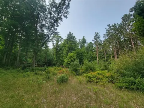 10 Acres Kott, Manistee, MI 49660 photo 9