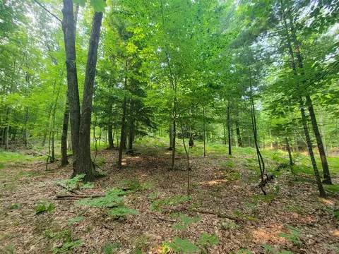 10 Acres Kott, Manistee, MI 49660 photo 15