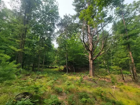 10 Acres Kott, Manistee, MI 49660 photo 2