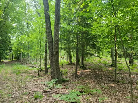 10 Acres Kott, Manistee, MI 49660 photo 14