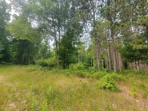 10 Acres Kott, Manistee, MI 49660 photo 8