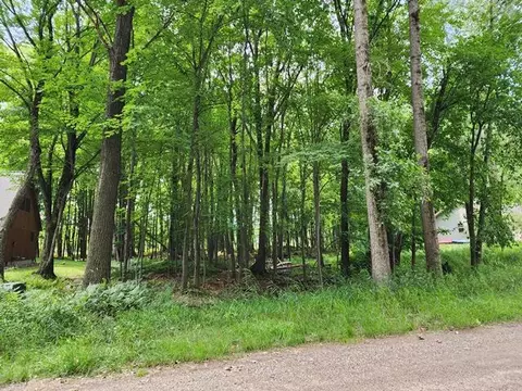 9249 White Birch, Canadian Lakes, MI 49346
