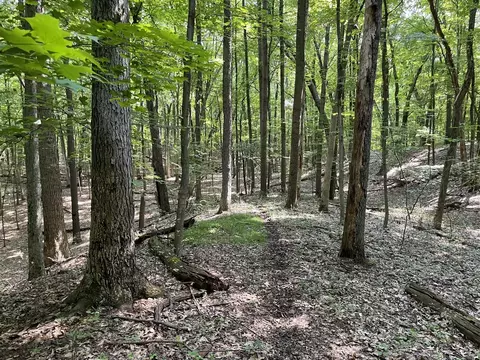 112 Forest Hl, Grand Rapids, MI 49546