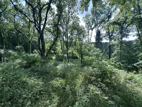N Q, Marshall, MI 49068 photo 8